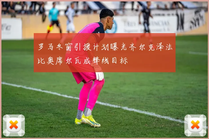 罗马冬窗引援计划曝光齐尔克泽法比奥席尔瓦成锋线目标